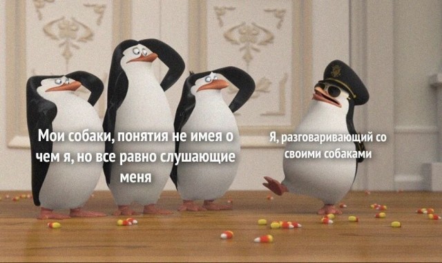 Юмор в картинках и без 12.04