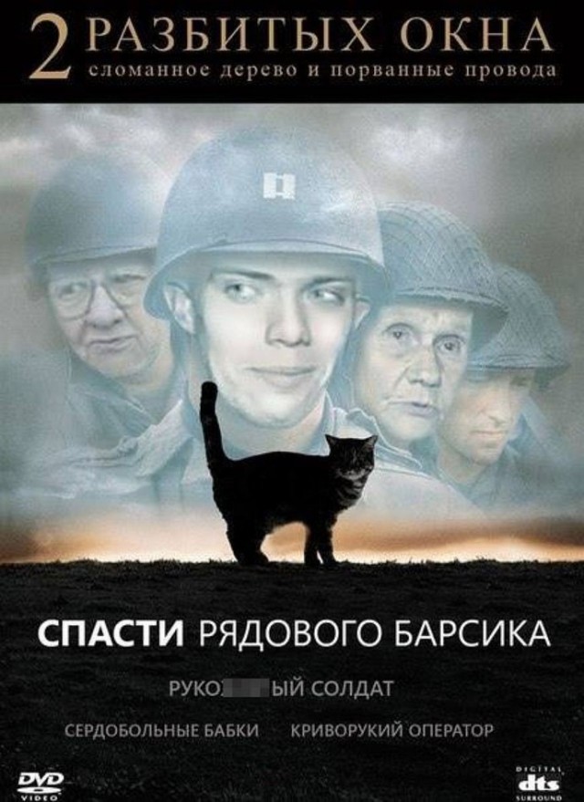 Жители Москвы простояли несколько часов с растянутым тентом, чтобы спасти кота с дерева