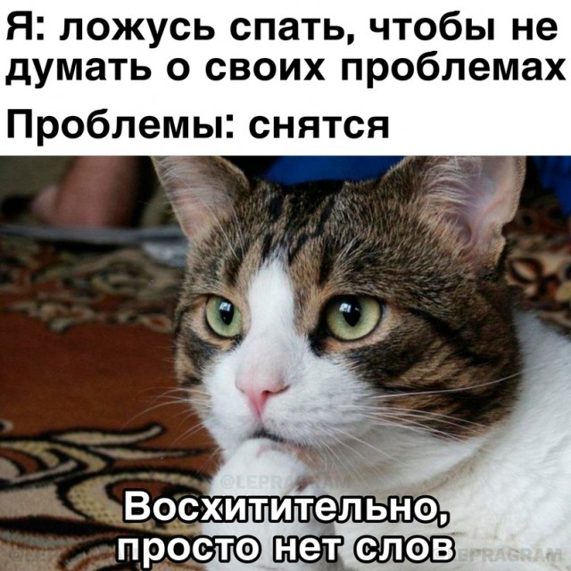 Скупка краденого из сети 15-06-2023
