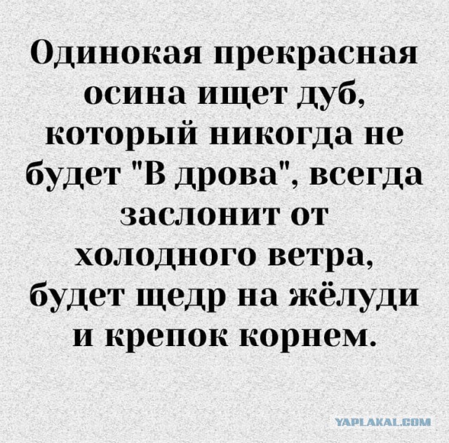 Хозяйство у жениха маленькое, жену не найдет!