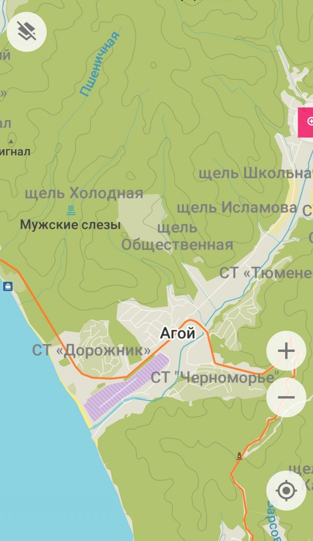 Так себе картинки 11.12.23