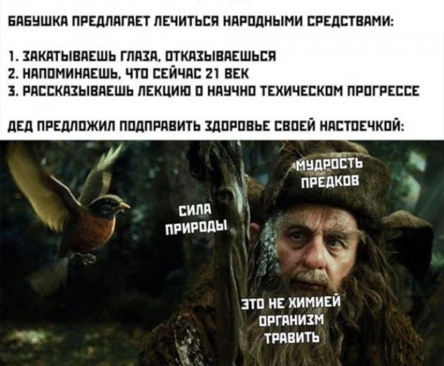 Заметки начинающего алкоголика