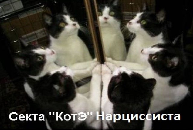 Когда живешь с абьюзером