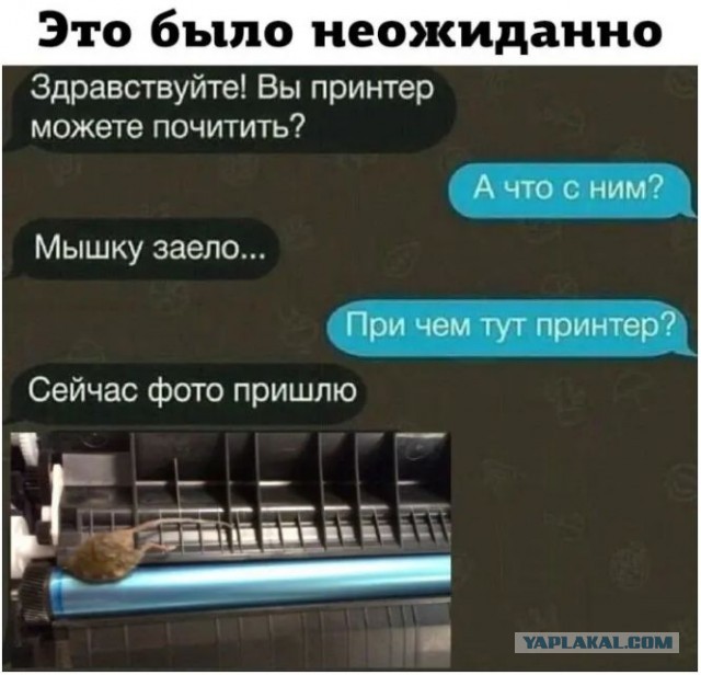 Отряд быстрого деградирования