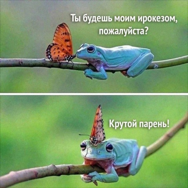 Завалялось тут случайно немного забавных картинок