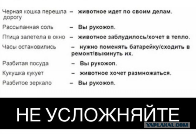 Нуштош 08.08.2024
