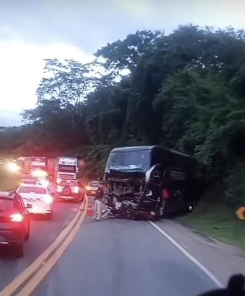 Полная папайя