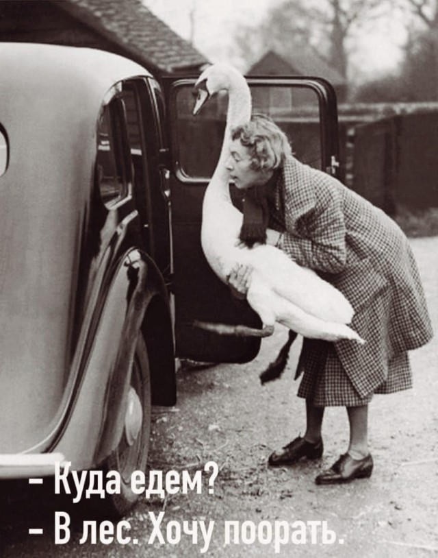 Так себе картинки 11.05.25