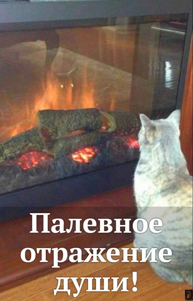 Веселые картинки в пятницу (30.05)