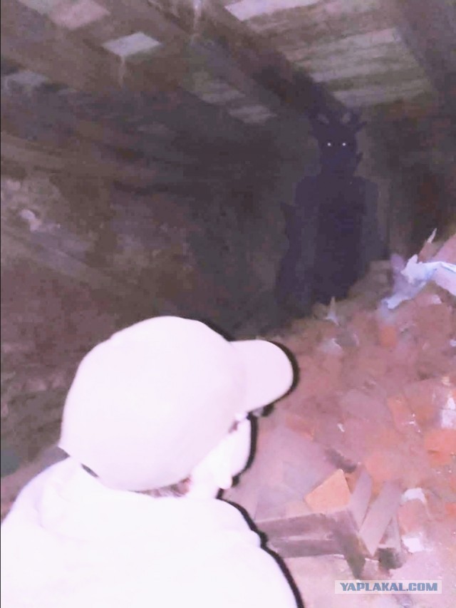 Я с друзьями нашёл паранормальное явление