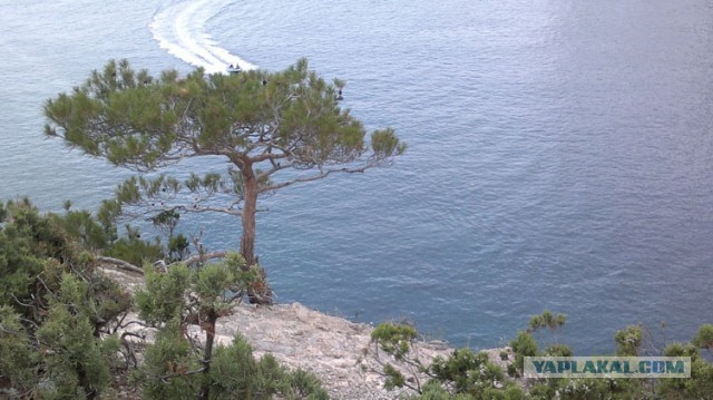 Тил-тили...трали-вали