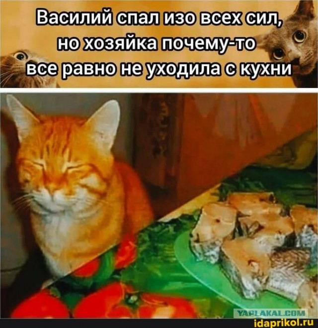Прикольные и просто красивые картинки 25.11.2025