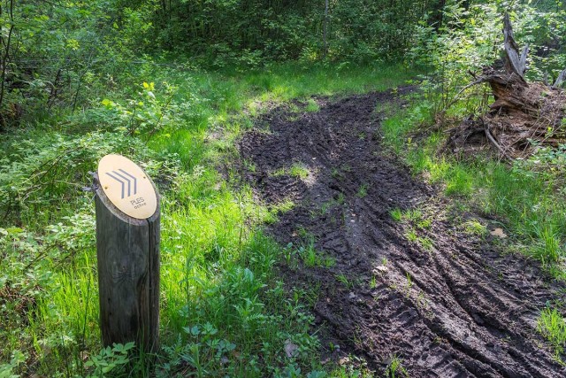Плохие питбайкеры остались в городе, а хорошие уехали в лес