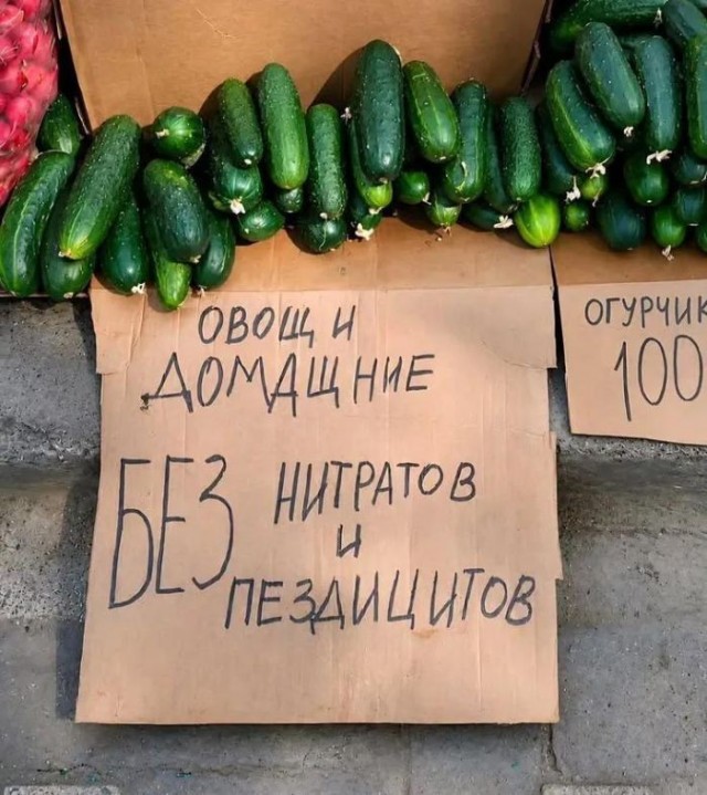 Картинки для деградации 232 (разной степени свежести)