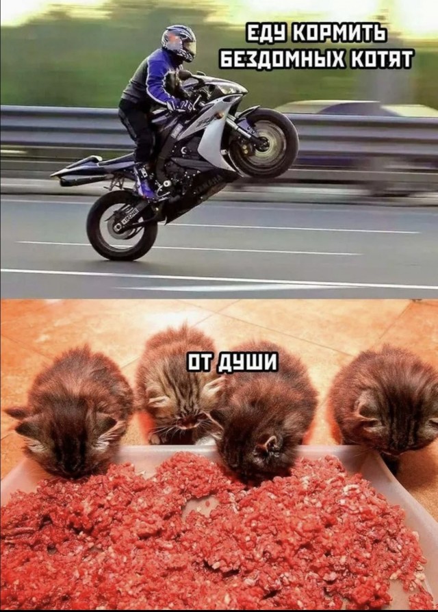 Ого, а она могёт!!