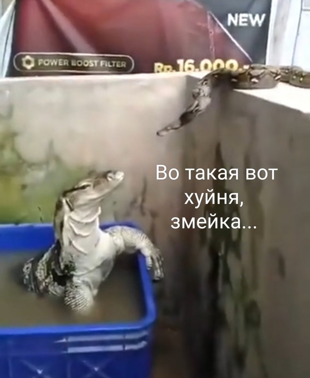 Опять Индия