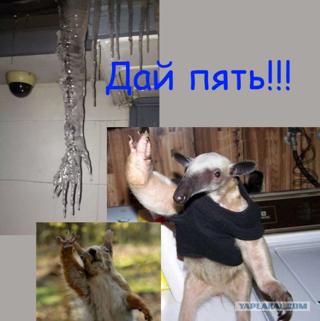 Как вам такая "сосуля" (с)?