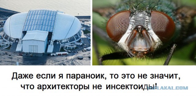Олимпийские объекты с вертолета