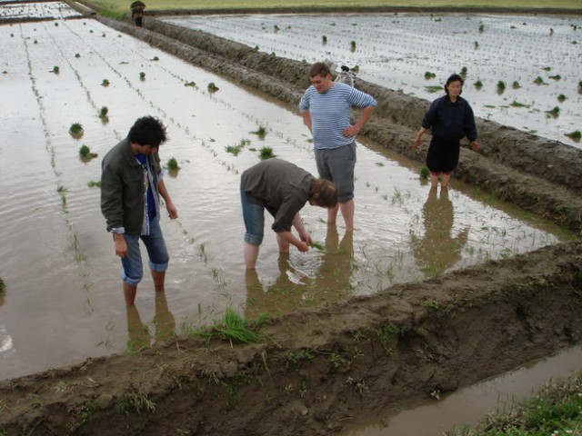 Ким Чен Ын и народное обожание
