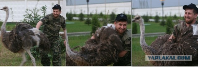 Женщина-Рэмбо убила четверых ваххабитов