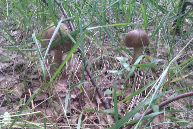 Просто выходные...