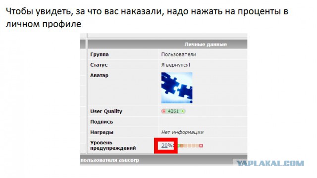 10 полезностей на ЯПлакалъ