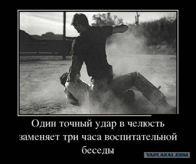 В Тверской области молодые люди постирали котёнка