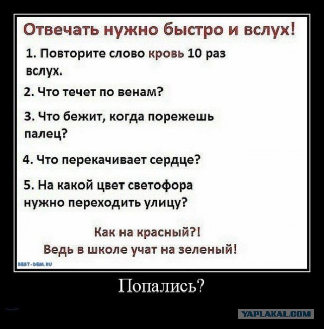 Прикольные картинки