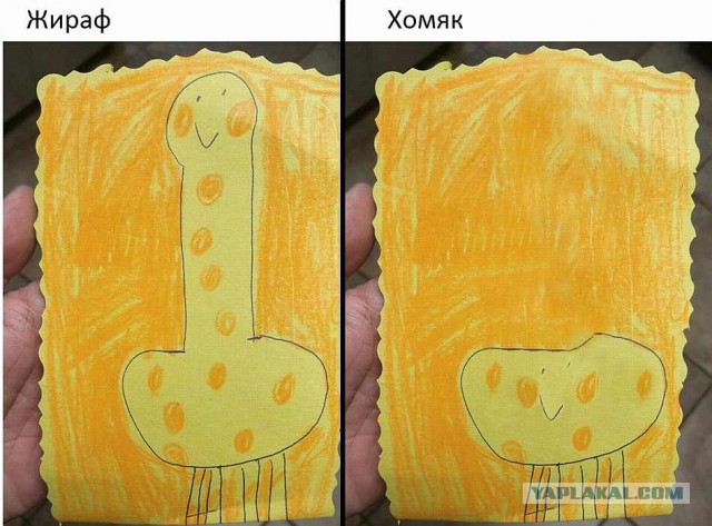 Вы когда-нибудь видели бегущего хомяка?