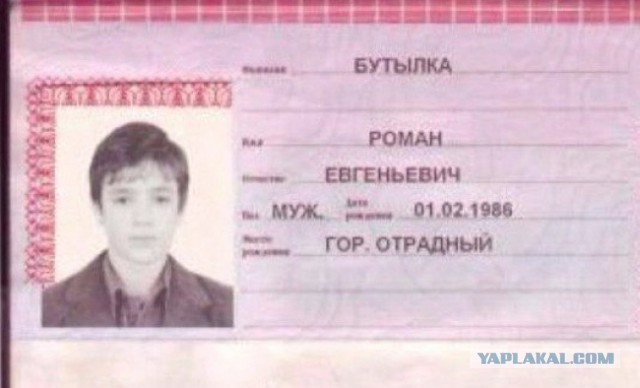 12 примеров знатного троллинга