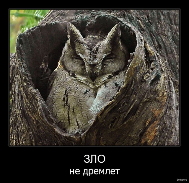 ЯП получил Премию Рунета 2015