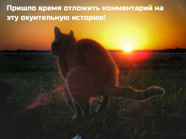 Я слышал, на ЯПе любят котиков