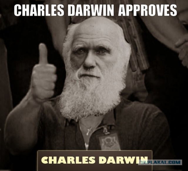 Еще один номинант на премию Дарвина