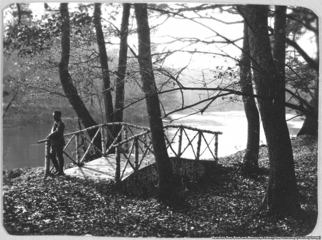 Перед расстрелом: редкие фотографии российской царской семьи
