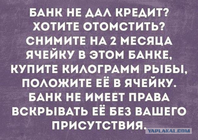 Смешные комментарии из социальных сетей 01.09.2017