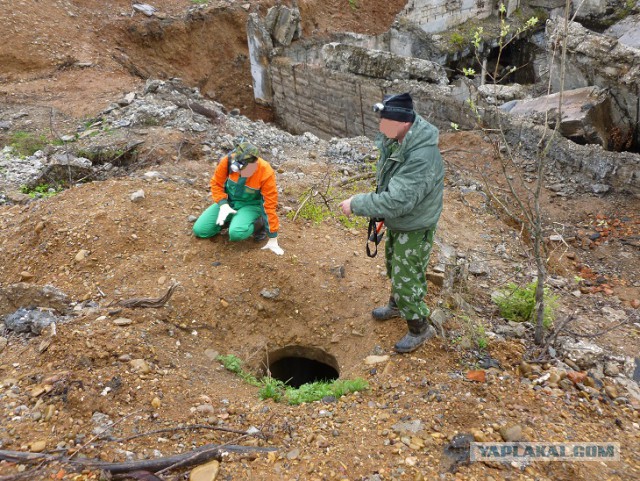 Осколки страны