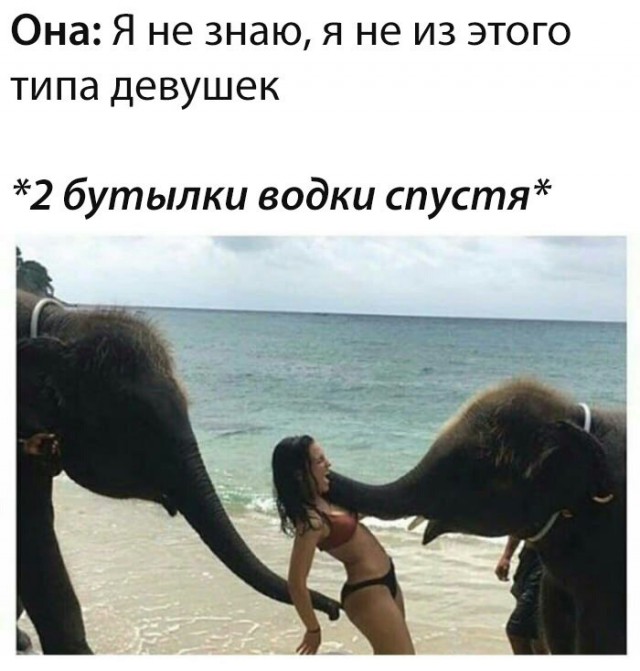 Субботняя деградация
