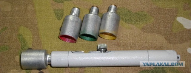 Пропавших грибников обнаружили мертвыми
