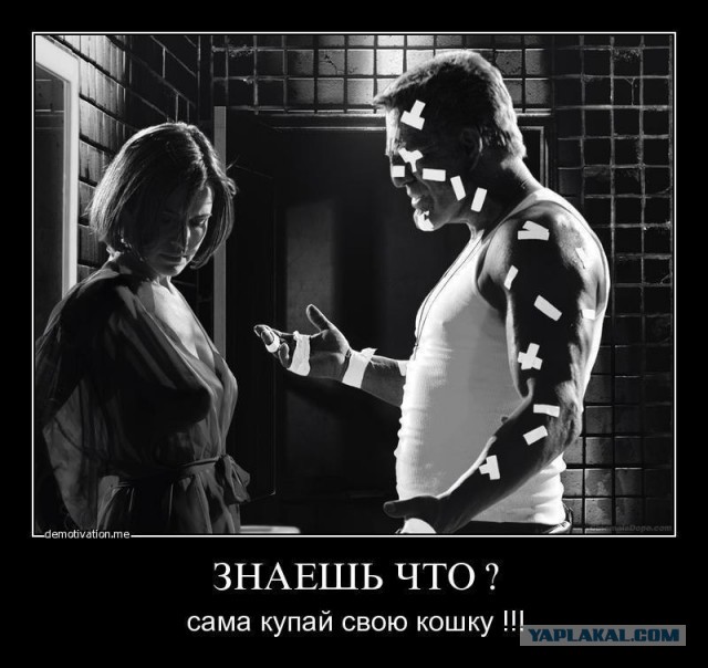 Кот, тем не менее, совершенно распустился, к зиме оброс бородой и где-то потерял совесть