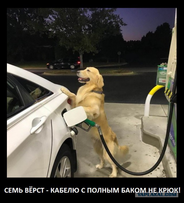 Подборка интересных и веселых картинок