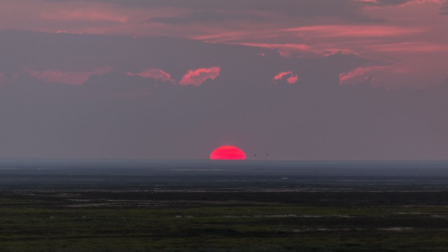 Просто Природа