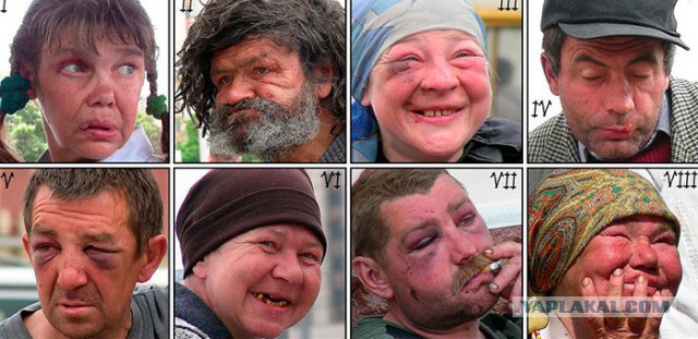 В диком мире Instagram водятся монстры