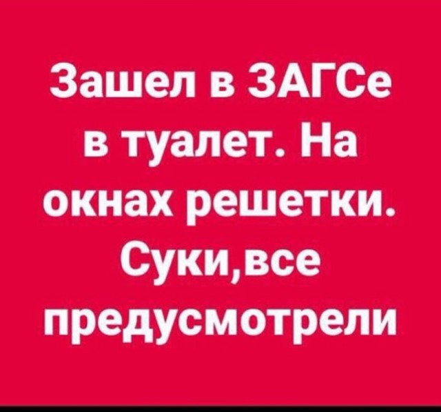 Смешные комментарии из социальных сетей 11.05.2018