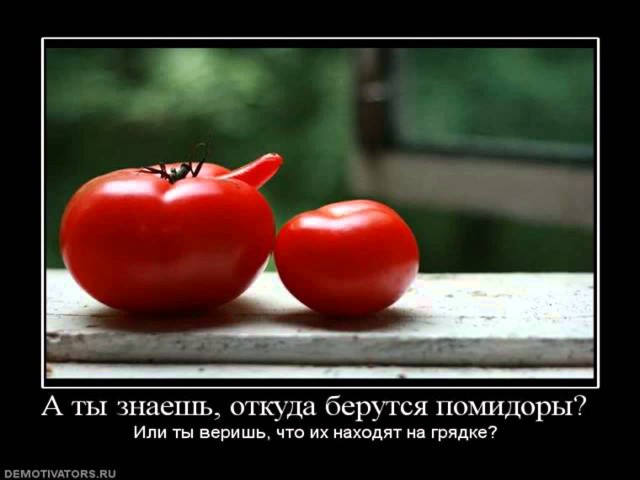 Как нас на**ывают торговцы «домашним» на обочинах