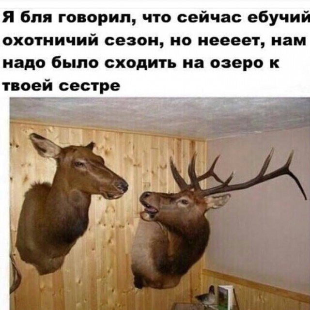Нестандартный юмор