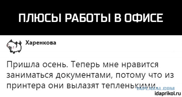 Смешные комментарии из социальных сетей 30.11.2018