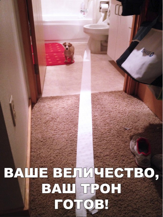 Нестандартный юмор