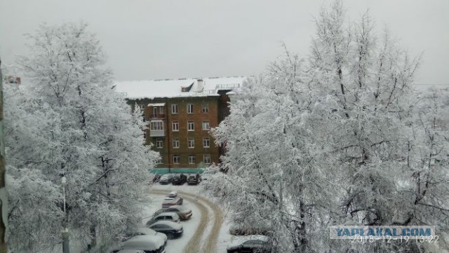 Скоро Новый год!