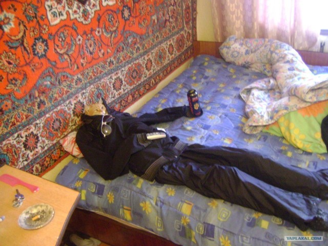 Котовторник 10.04.2012