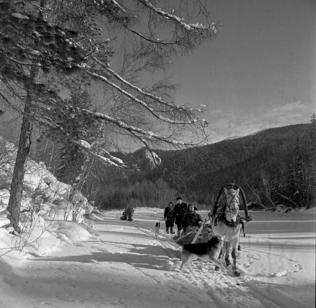 1950-е. Охота в Сибири на фотографиях Марка Степановича Редькина